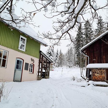 Ferienwohnung Im Wald, Fuer Naturfreunde Clausthal-Zellerfeld Exterior photo