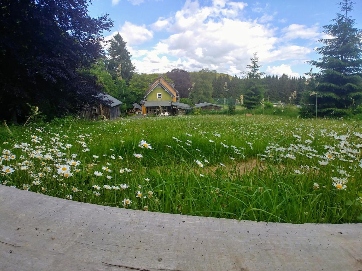 Ferienwohnung Im Wald, Fuer Naturfreunde Clausthal-Zellerfeld Exterior photo