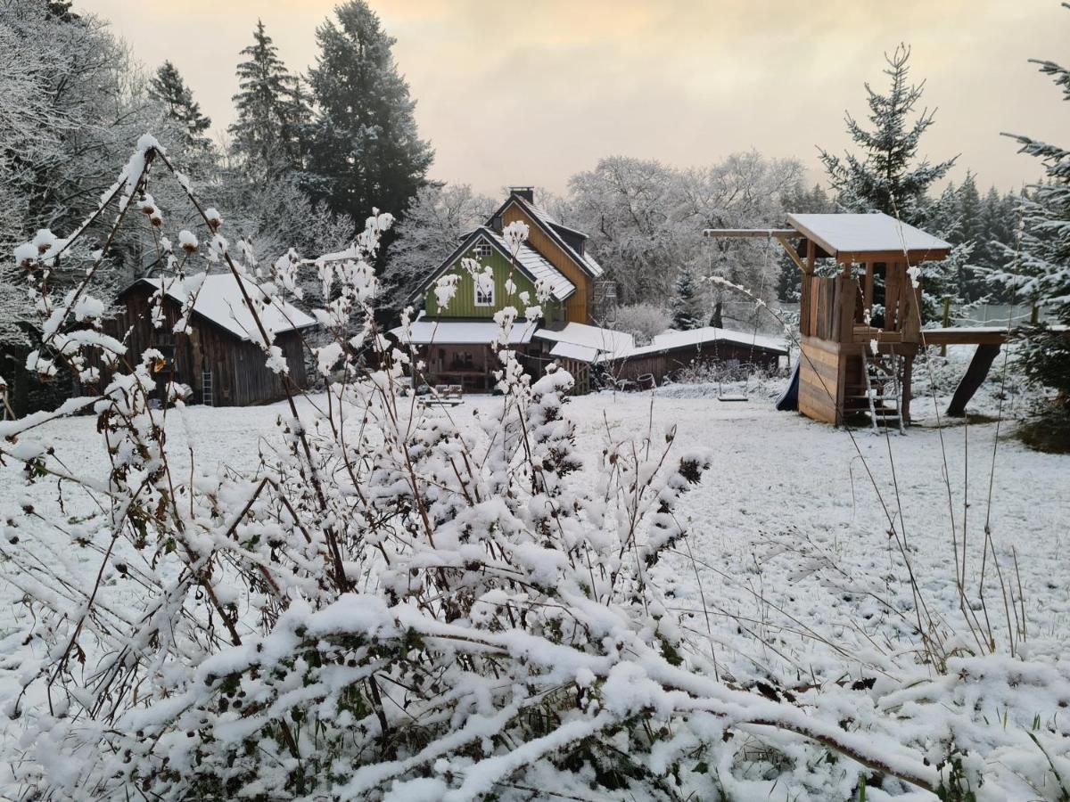 Ferienwohnung Im Wald, Fuer Naturfreunde Clausthal-Zellerfeld Exterior photo