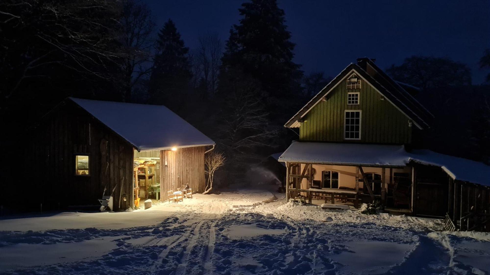 Ferienwohnung Im Wald, Fuer Naturfreunde Clausthal-Zellerfeld Exterior photo