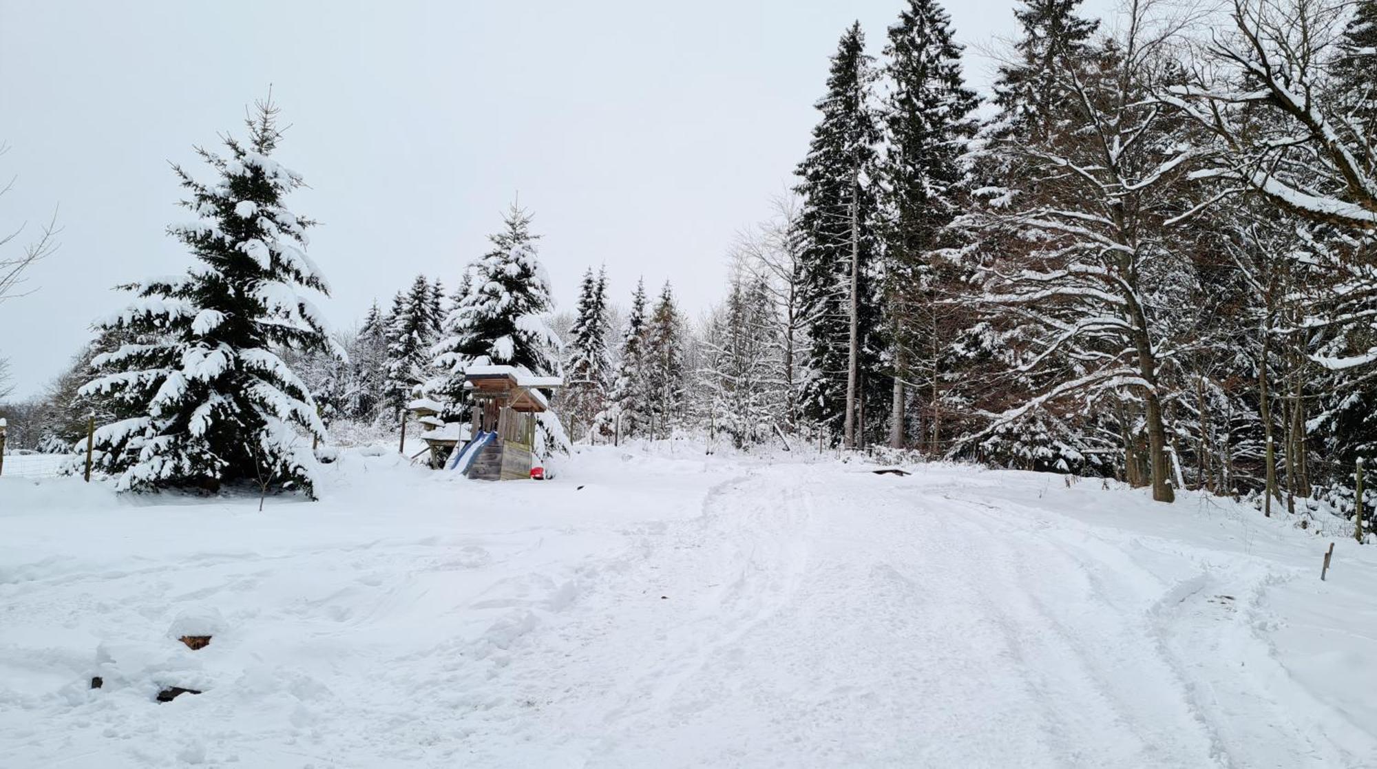 Ferienwohnung Im Wald, Fuer Naturfreunde Clausthal-Zellerfeld Exterior photo