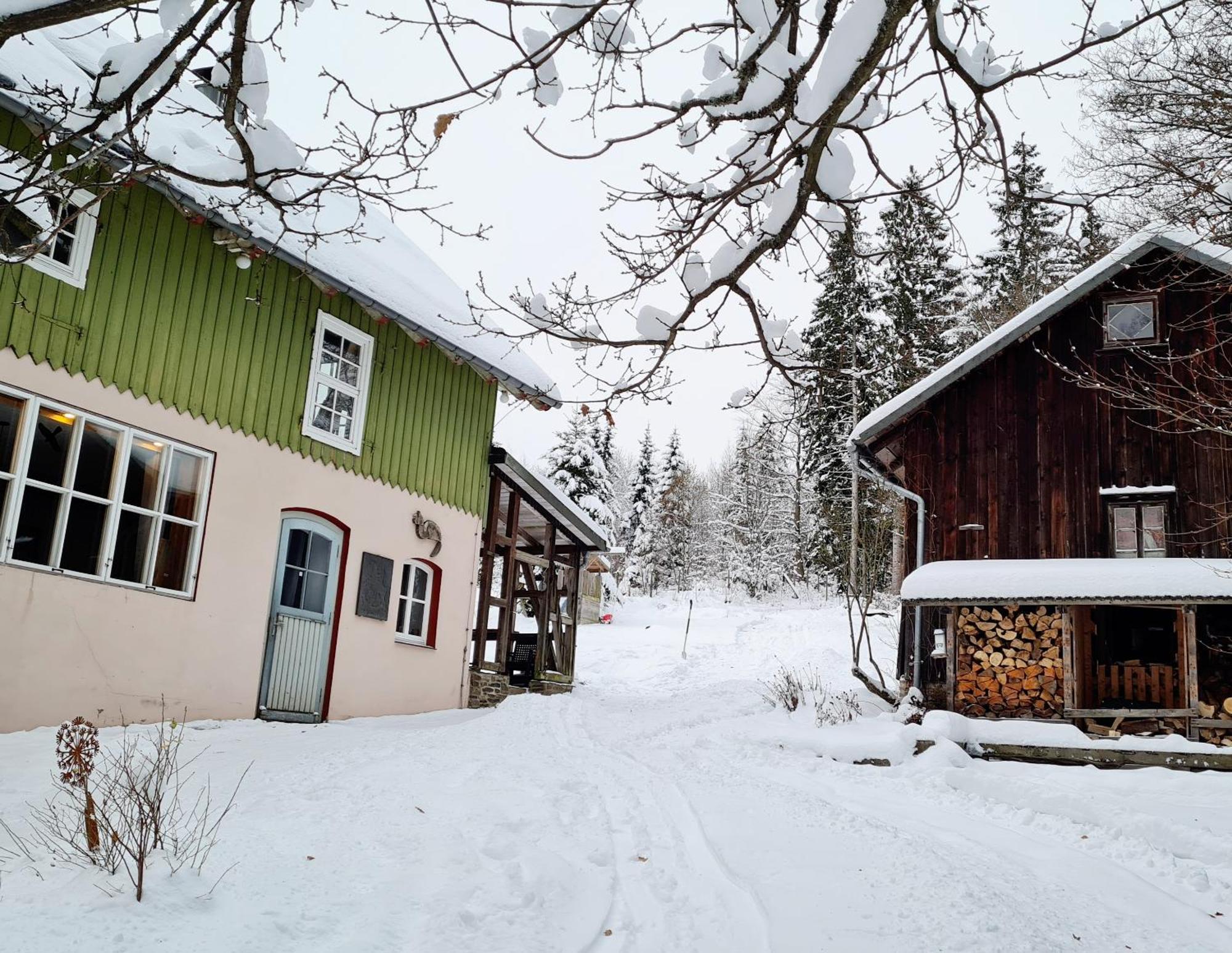 Ferienwohnung Im Wald, Fuer Naturfreunde Clausthal-Zellerfeld Exterior photo